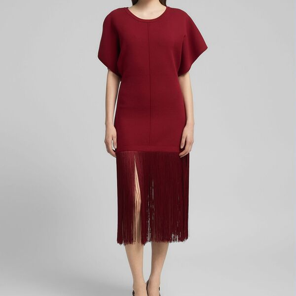 REPLAY - STRIK KJOLE MED FRYNSER RØD